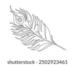 Continuous one line drawing of exotic peacock feather. Peacock feather single line vector illustration. Editable line vector.