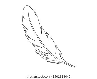 Continuous one line drawing of exotic bird feather. Feather single line vector illustration. Editable line vector.