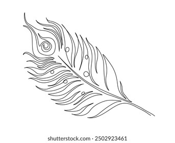 Dibujo continuo de una línea de pluma exótica de pavo real. Pluma de pavo real de una sola línea de Ilustración vectorial. Vector de línea editable.