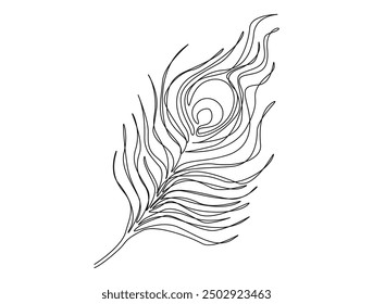 Continuous one line drawing of exotic peacock feather. Peacock feather single line vector illustration. Editable line vector.