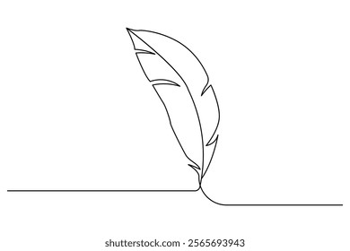 Continuous one line drawing of exotic bird feather. Feather single line vector illustration. Editable line vector.