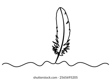 Continuous one line drawing of exotic bird feather. Feather single line vector illustration. Editable line vector.