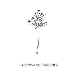 Continuous one line drawing of exploded firework. sparklers outline vector illustration. Editable outline