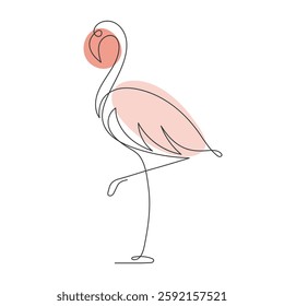 Continuous one line drawing of a flamingo on a white background. Illustration.