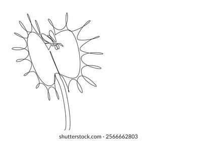 Continuous one line drawing flies are in venus flytrap. Insectivorous plants. Symbiosis of world life. Beneficial to humans. World Carnivorous Plant Day. Single line draw design vector illustration