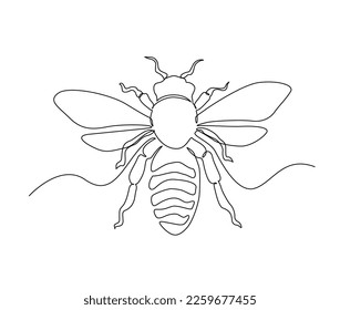 Continuous one line drawing of fliying bee. Simple illustration of honey bee line art vector illustration.