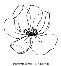 Continuous one line drawing of flower. jasmine flower, apple flower, japanese flower of sakura. Hand drawn illustration. 