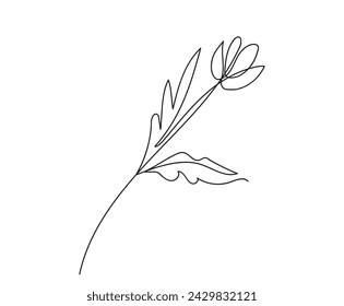 Continuous one line drawing of flower with leaves. Line art. Concept of nature, ecology, organic shapes. White backdrop. Design element for print, postcard, scrapbooking, coloring book. 
