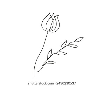 Dibujo continuo de una línea de una flor con hojas. Tulipán. Arte lineal. Concepto de naturaleza, ecología, formas orgánicas. Fondo blanco. Elemento de diseño para impresión, postal, scrapbooking, libro de colorear. 