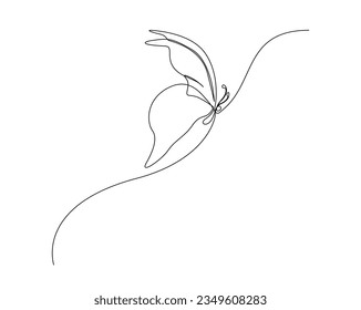 Continuous one line drawing of flying butterfly. Butterfly outline vector illustration.  