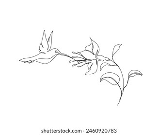 Continuous one line drawing of flying hummingbird with tropical flowers. Hummingbird is sucking the nectar out single outline vector design. Editable stroke.