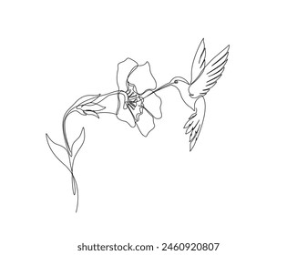 Continuous one line drawing of flying hummingbird with tropical flowers. Hummingbird is sucking the nectar out single outline vector design. Editable stroke.