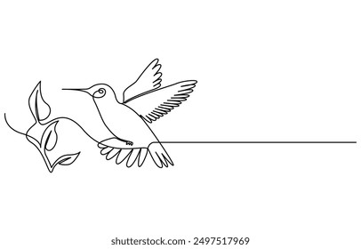 Continuous one line drawing of flying hummingbird. One line drawing illustration of colibri. Flying animal concept Single line, Hummingbird one line art design. Hand drawn illustration of hummingbird