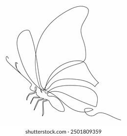 Continuous one line drawing of flying butterfly. One line drawing illustration of butterfly, Outline of Butterfly.