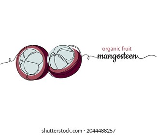 Dibujo continuo de una línea de frutos orgánicos de mangostino frescos en silueta sobre un fondo blanco. Linear estilizado.Minimalista.
