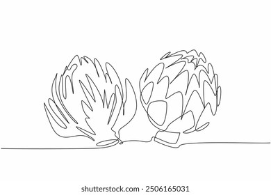 Continuous one line drawing fresh artichoke. One is partially open. Plants have many benefits. Contains lots of folate and vit C. National Artichoke Day. Single line draw design vector illustration