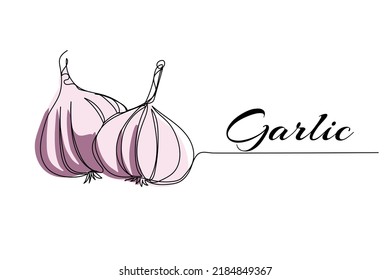 Continuous one line drawing of garlic. Modern style vector illustration on isolated background.