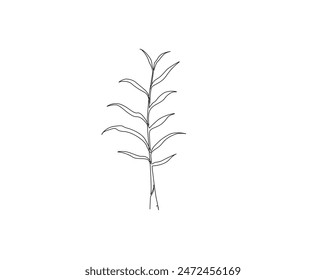 Continuous one line drawing of ginger leaves. Ginger leaf simple outline vector illustration. Editable stroke.