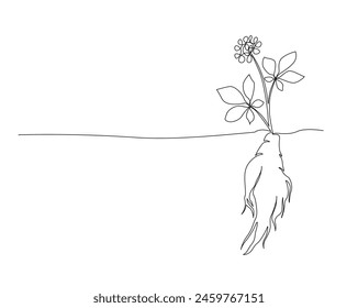 Continuous one line drawing of ginseng root. Ginseng plant single outline vector design. Editable stroke.