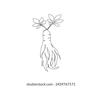 Continuous one line drawing of ginseng root. Ginseng plant single outline vector design. Editable stroke.