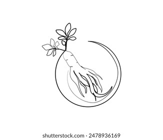 Continuous one line drawing of ginseng root. Ginseng plant single outline vector design. Editable stroke.