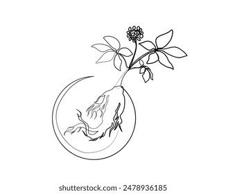Dibujo continuo de una línea de raíz de ginseng. Diseño de Vector de contorno único de planta de ginseng. Trazo editable.
