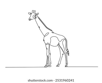 Continuous one line drawing of Giraffe with white background. Giraffe single line art vector illustration. Editable vector. 
