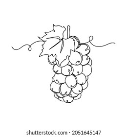 Continuous one line drawing of grape fruit organic food icon in silhouette on a white background. Linear stylized.