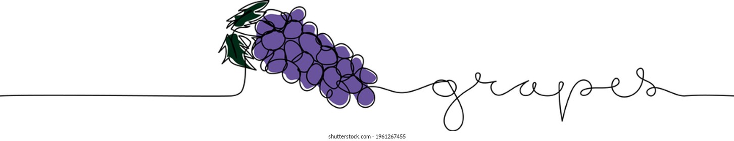 Continuous one line drawing of grapes with text Grapes. Modern minimalist art.