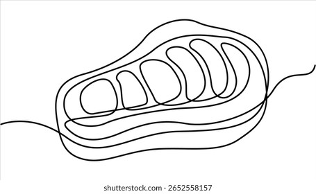 
Desenho contínuo de uma linha de um filé ribeye grelhado. Ilustração contínua de vetor de bife de desenho de uma linha. Linha preta contínua simples bife desenho. Linha contínua única de bife grande
