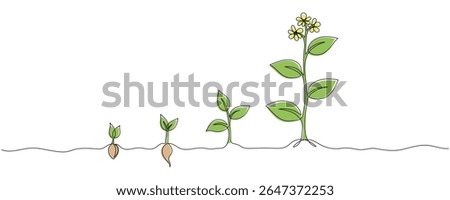 Continuous one line drawing of growing plant stages. Seeds sprouting in the ground. Garden plant seedlings, sprouts. Single line drawing vector graphic illustration Editable stroke