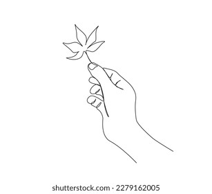 Continuous one line drawing hand holding maple leaf  Hand holds leaf line art vector illustration 