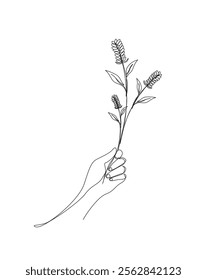 Continuous one line drawing of hand holding flower. Spring flower, tropical flower single outline vector illustration. Editable stroke.