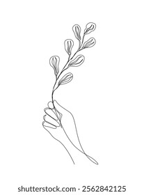 Continuous one line drawing of hand holding flower. Spring flower, tropical flower single outline vector illustration. Editable stroke.