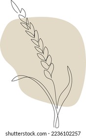 Continuous one line drawing healthy organic wheat corn grain for logo other purpose  Minimal line art 