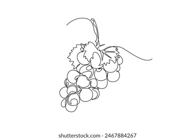 Continuous one line drawing healthy sweet organic grapes for vineyard logo identity. Fresh tropical fruitage concept for fruit orchard garden icon. Single line draw design vector graphic illustration