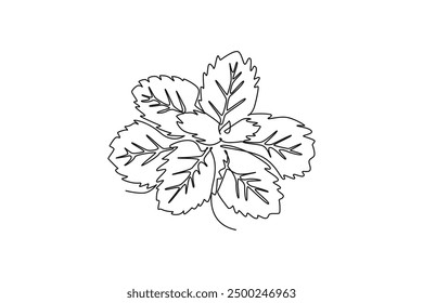 Continuous one line drawing of healthy freshness organic mint leaves for farming logo identity. Fresh lamiaceae plant concept for plantation icon. Single line draw design vector graphic illustration