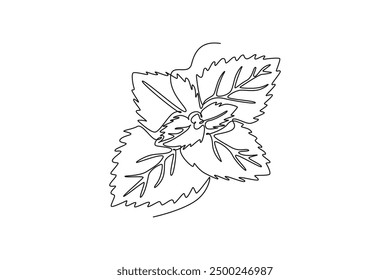 Continuous one line drawing of healthy blossom organic freshness mint leaves for farm logo identity. Fresh mentha plant concept for plantation icon. Single line draw design vector graphic illustration