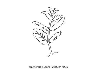 Continuous one line drawing of healthy freshness organic raw mint leaves for farming logo identity. Fresh mentha plant concept for plantation icon. Single line draw design vector graphic illustration