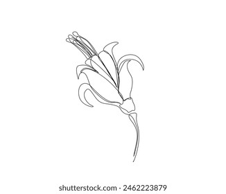 Continuous one line drawing of hibiscus flower. Rose mallow single outline vector design. Editable stroke.