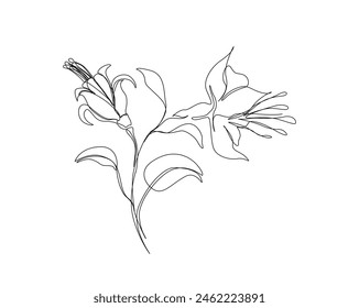 Continuous one line drawing of hibiscus flower. Rose mallow single outline vector design. Editable stroke.