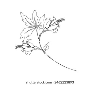 Continuous one line drawing of hibiscus flower. Rose mallow single outline vector design. Editable stroke.