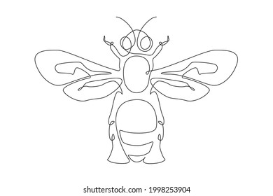 Continuous one line drawing of honey bee. Bumblebee and wasp farm icon in simple linear style. Editable stroke. Black and white vector illustration