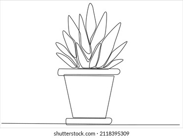 Continuous one line drawing. House plant in pot. Vector illustration