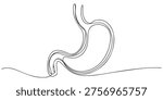 Continuous one line drawing of human stomach. stomach line art vector illustration. one line Art icon drawing vector, Human stomach anatomy continuous one line drawing for medical health and digestive system education concept. Editable stroke outline. Single contour art. Doodle hand drawn vector illustration