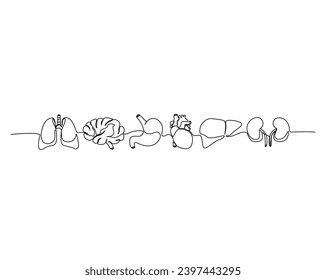 Continuous one line drawing of human organs. Lungs, brain, stomach, heart, liver, kidneys outline vector illustration. Editable stroke.