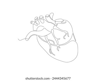 Kontinuierliche Einzeilenzeichnung des menschlichen Herzorgans. Eine Linie anatomischen menschlichen Herzens. Medizinisches internes Konzept Kontinuierliche Linienkunst. Editierbare Gliederung.