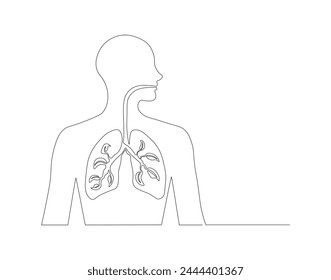 Continuous one line drawing of human lungs. One line of anatomical human lungs. Medical internal concept continuous line art. Editable outline.