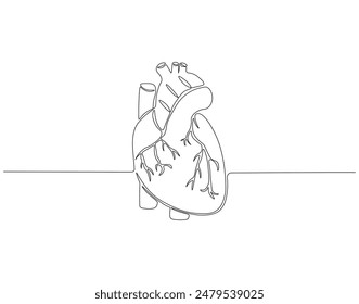 Continuous one line drawing of human heart. One line drawing illustration of heart. Human organ concept line art. Editable outline.