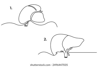 Continuous one line drawing of human lungs. One line of anatomical human lungs. Medical internal concept continuous line art, Liver human organ drawn by one line. Anatomical sketch. Isolated.